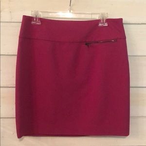 Ann Taylor Skirt